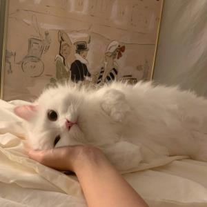 快乐向前