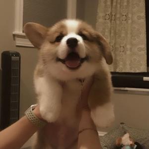 热情似火