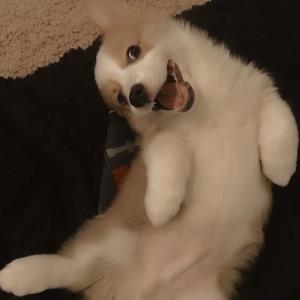 生活的色彩