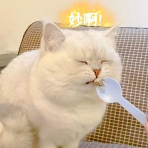 美好的世界