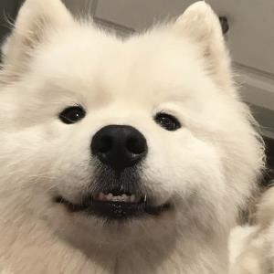 天使的翅膀