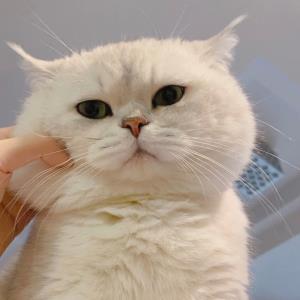 快乐与幸福