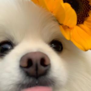 积极的心态