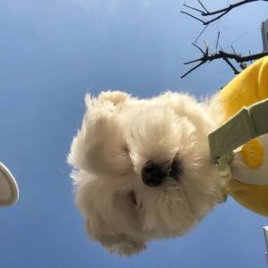 明媚的阳光