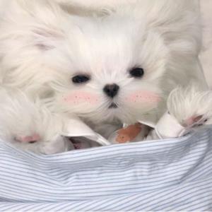 光芒万丈