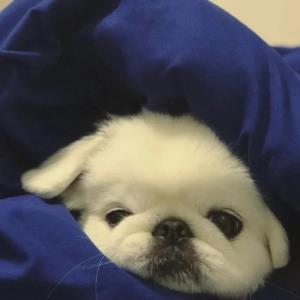 甜蜜微笑