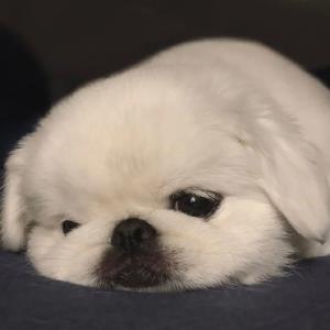 心有所向