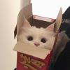 永远年轻