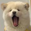 小娟