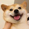 紫露