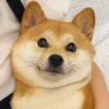 紫烟