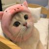 紫妍