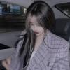 紫梅香