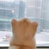 灵韵