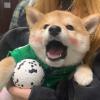 轻松自在