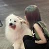 小清新的小鸟
