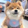 甜美的微笑