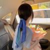 云雀之飞
