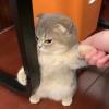 紫色盛宴