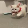 碧落黄泉