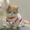 风中楼阁