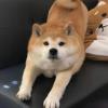 风吹散了云