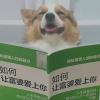雪域冰心