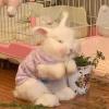 春暖花开