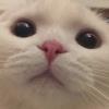 甜蜜时光
