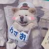 非常有爱