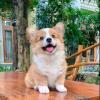 闪闪发光