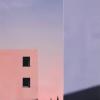 紫兮