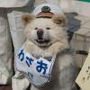 身心健康