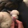 飞向未来