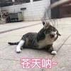 美好的日子