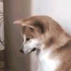 闪耀的阳光