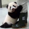真诚的待人