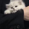 轻松自得