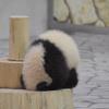 感恩与付出