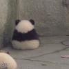 活力的生命