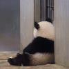 真诚与善良