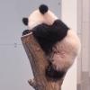 快乐的明天