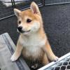 红颜知己
