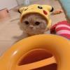 扬帆起航