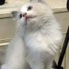不可缺少