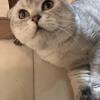 享受生活