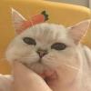 着眼未来