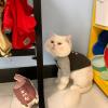 幸福如意