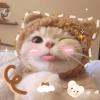 自信满满