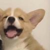思维正能量